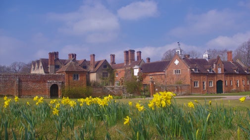 Daffodils outside Packwood, Warwickshire
